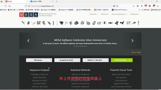 多序列比对软件-MEGA安装