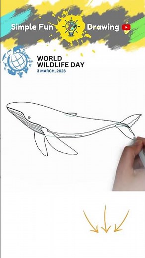 How to Draw Blue Whale (Simple and Easy Drawing)