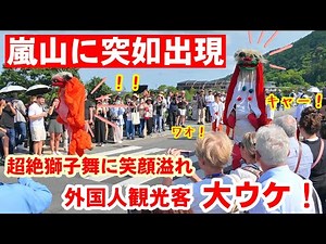 On May 24th (Sun), an incredible lion dance suddenly appeared in Arashiyama, much to the delight ...