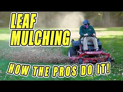 TIPS FOR LEAF CLEANUP WITH LAWNMOWER – LEAF SHREDDING