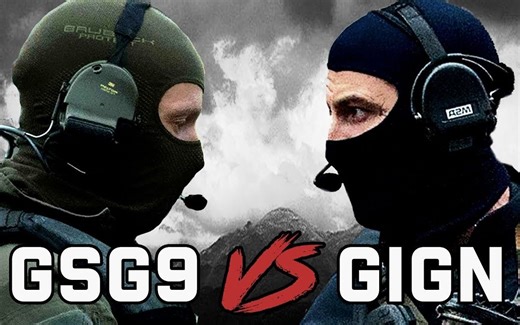 真正的反恐演习——GSG9大战GIGN