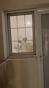 988K views · 33K reactions | I caught Fatima doing this again, after she said she will stop it. | AngieNation | Facebook