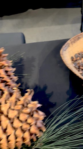 Be sure to check out all of the activations for Native American Heritage Night tonight! | Golden 1 Center