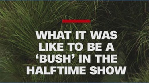 Being a "bush" in the Super Bowl halftime show