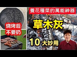 10 magical uses of wood ash / plant ash in the garden