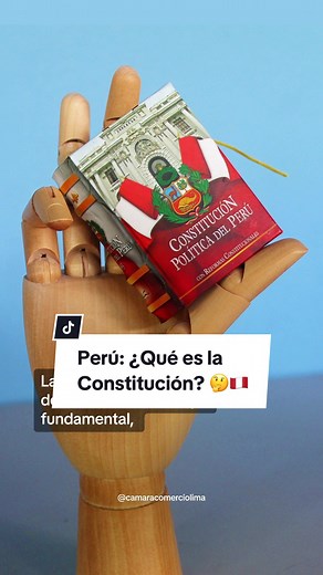 ¿Qué es la Constitución Política del Perú? - Importancia y Funciones