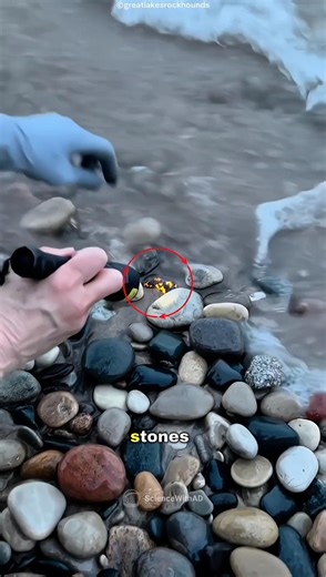 Nature’s Hidden Glow!🤯