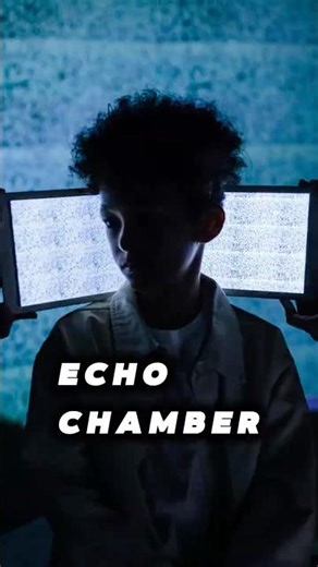 THE ECHO CHAMBER EFFECT