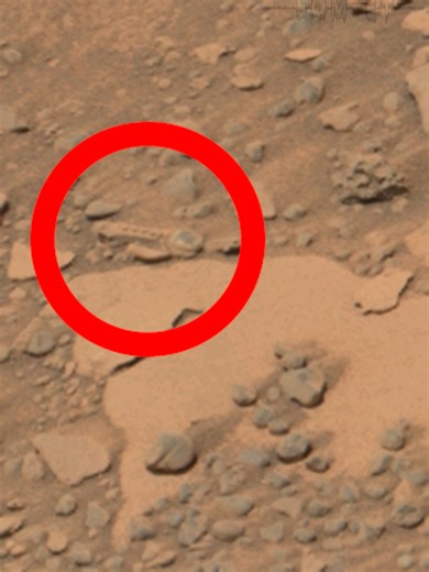 Discover NASA's Curiosity Rover Images from Mars Sol 4441