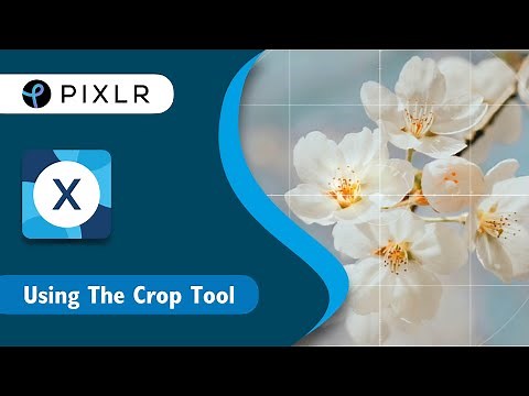 Quick & Easy Series: Crop Tool in Pixlr X