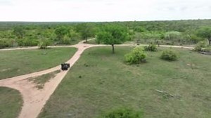 4.5K views · 137 reactions | Welcome to the WildEarth Travel Grand...
