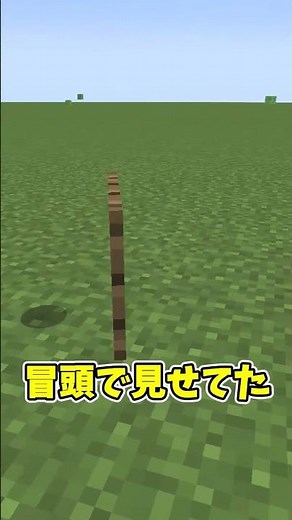 マイクラに写真を追加する方法！ #shorts #ゆっくり実況 #java版 #minecraft