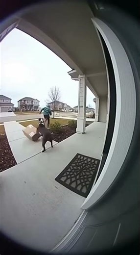 Caught Stealing the Bait Box! Funniest Porch Pirate Prank Ever