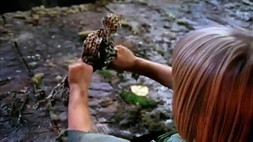 Bumpy | movie | 1981 | Official Trailer