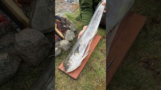 How will this huge mahi mahi taste?