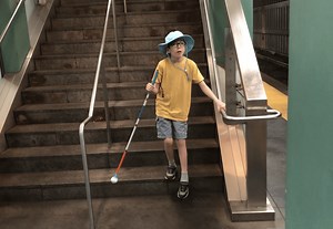 CVI: Visual Guidance of Lower Limbs