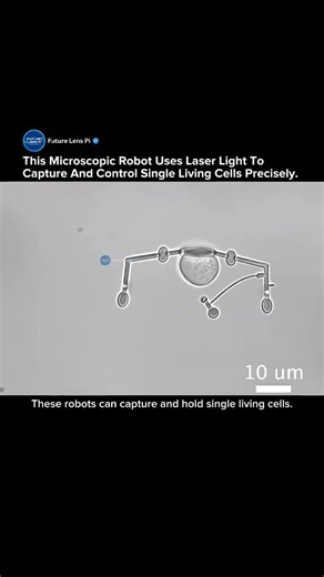 Microscopic Robots That Can Capture and Control Living Cells With Light #robot #cells #medical #tech