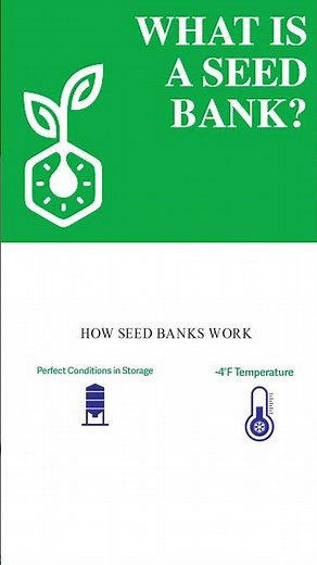 HOW SEED BANKS WORK