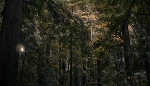 Next week I return to the Pacific Northwest for The Light Came Down Christmas Tour! Come join me and my 7 piece band as we sing some songs off my Christmas album, as well as other favorites from my past albums. See you soon! 🎄 Dec 13 - The Stirring in Redding, CA Dec 14 - MTN Church in Medford, OR Dec 15 - WOW Hall in Eugene, OR Dec 16 - Portland, OR (SOLD OUT) Dec 17 - Neptune Theater in Seattle, WA * Ticket Link 🎟 https://joshgarrels.com/shows-3/ | Josh Garrels