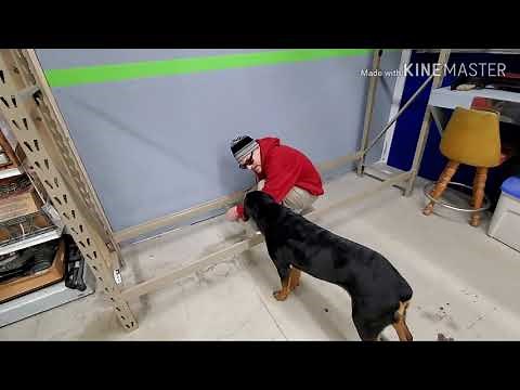 Assembling garage shelving from menards. How to clean up your act.