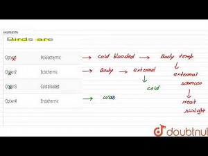 Birds are | CLASS 12 | Mock test-24:Zoology | BIOLOGY | Doubtnut