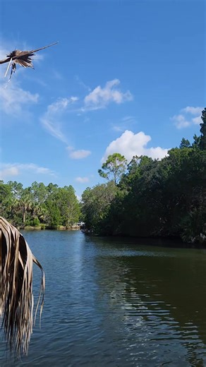 #homosassaflorida #relaxing #exploremore | LH Designs