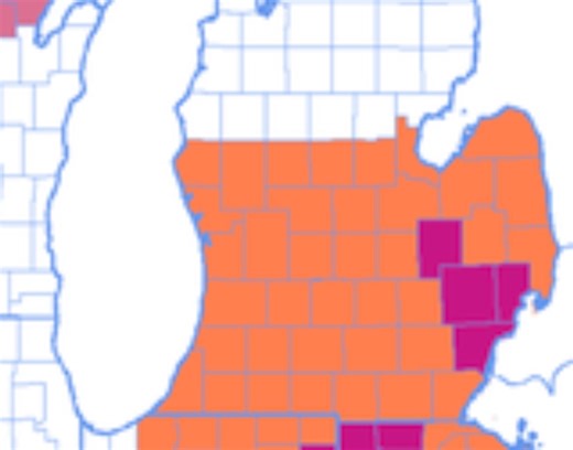 Much of Michigan under excessive heat warnings, advisories: What’s the difference