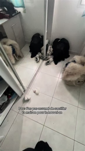 un enfer et encore la on avait nettoyer le plus gros #nouvelan #2026 #maison #soiree