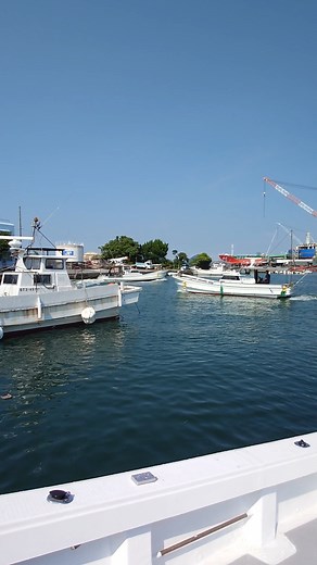 臼杵の男前兄弟！県内水揚げ1位を独走する太刀魚漁師の速さ
