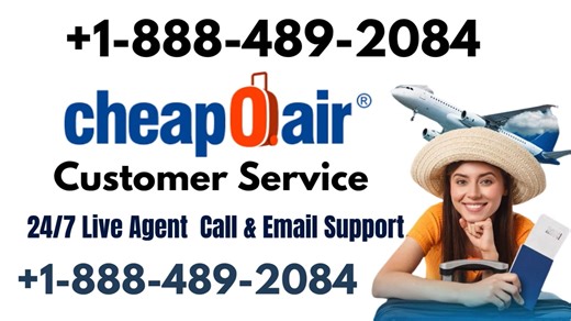 Cheapoair® Customer Service Complete Official Guide = Step-by-Step Help & Support 24/7 Cheapoair