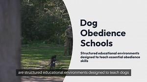 Dog Obedience Schools