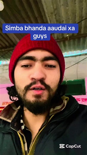 Understanding the Characteristics of Simba Dogs