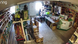 2.2K views | Pet Stop on Reels | Facebook