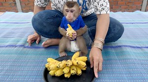 43K views · 3.8K reactions | Harry So Staving Late Lunch For Him Because Mom Busy Take Rosa To Tooth Extraction | Monkey Daily | Facebook