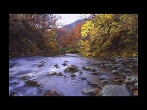 Johannes Bornlöf - River Flows In You by Yiruma (Official Video)