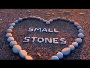 Flower Friendly- SMALL STONES (Official Music Video)