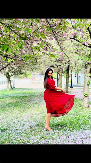 Charming Cherry Blossom Moments in an Urban Park
