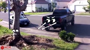 "Laughing Gas:Car Cartoons 