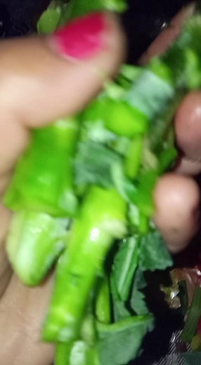 Fresh Green Vegetable Cooking: Broccoli and Leafy Greens