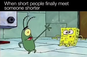 Funny SpongeBob Memes for a Laugh