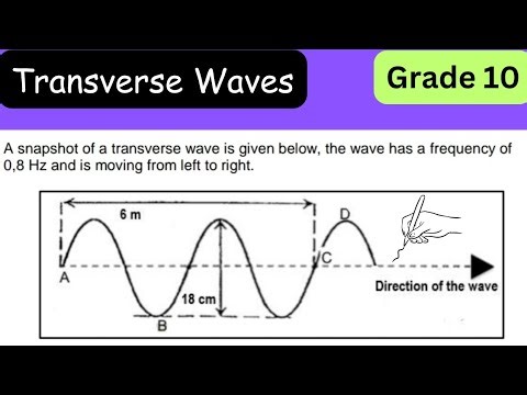 Transverse Waves Grade 10 | Physical Sciences