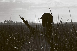 Penn Area Library will host Vietnam War events this fall