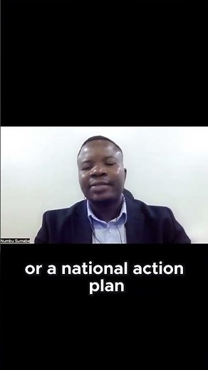 A National Action Plan: The Key to Decarbonization in the Maritime Sector