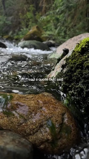 Inspiring Life Goals: Nature's Tranquil Embrace