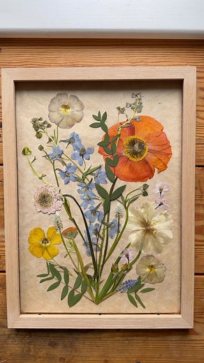 Turning beautiful pressed flowers into artwork. 🧡 #pressedflowers #pressedflowerart #flowerpressing | Meadow and Thyme