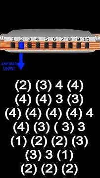 YOU CAN PLAY THE BLUES HARP C...