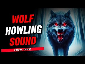Wolf Howling Sound | Ghost Sound - Horror Sound Effect
