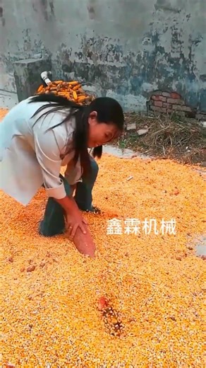 Platform-Mounted Conveyor for Continuous Operation. #shorts