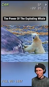4.9K views · 146 reactions | The power of the exploding whale Beached whale explodes after polar bears attempt to snack on it | Eedee Reacts | Facebook