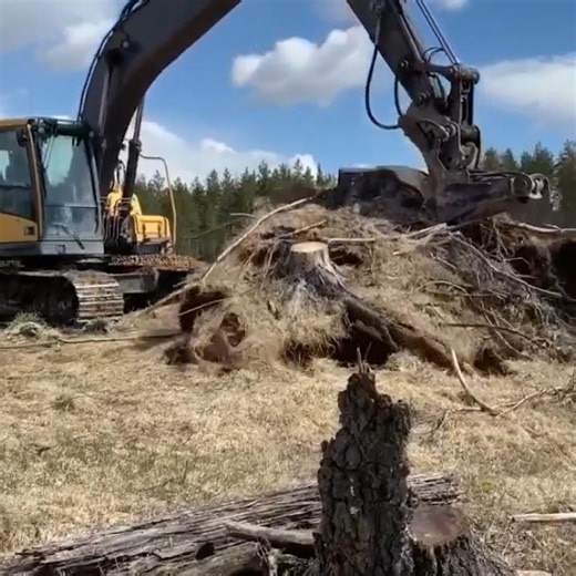 26K views · 214 reactions | Monster elevator doing the job | SportsAbc | Facebook